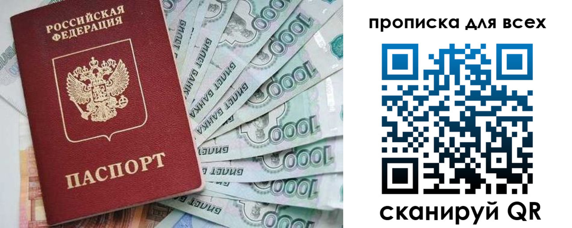 прописка гарантия в Шатуре